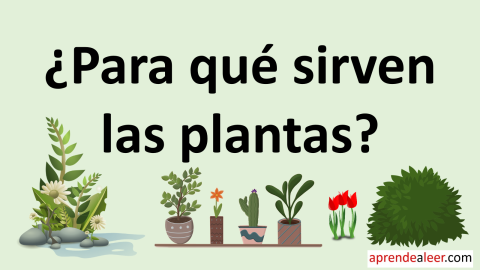 Para que sirven las plantas