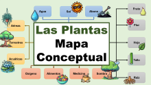Mapa Conceptual de las Plantas