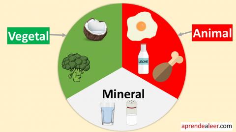 Alimentos de origen animal vegetal y mineral