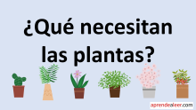 Que necesitan las plantas