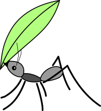 La hormiga y el escarabajo